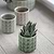 Sorrento Pot 7cm Foliage Green
