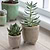 Positano Pot 7.2cm Stone