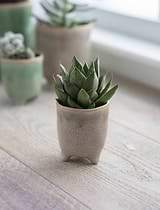 Positano Pot 7.2cm Stone