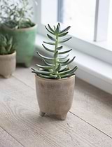 Positano Pot 10.2cm Stone