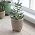 Positano Pot 10.2cm Stone