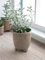 Positano Pot 13.5cm Stone