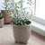 Positano Pot 13.5cm Stone