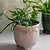 Positano Pot 20cm Stone