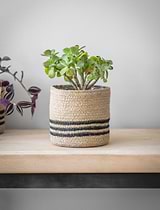 Jute Striped Pot 12.5cm Black & Natural