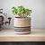 Jute Striped Pot 12.5cm Black & Natural