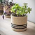 Jute Striped Pot 12.5cm Black & Natural