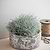 Withington Bowl 24.5cm Grey