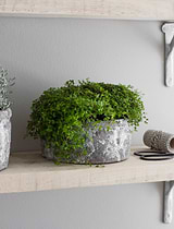 Withington Bowl 18.5cm Grey