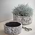 Withington Bowl 18.5cm Grey
