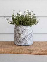 Withington Pot 15.5cm