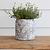 Withington Pot 15.5cm