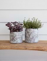 Withington Pot 14cm