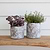 Withington Pot 14cm