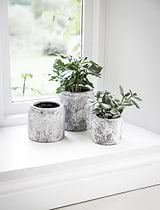Withington Pot 11.5cm