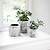 Withington Pot 11.5cm