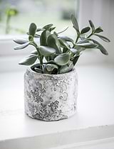 Withington Pot 11.5cm