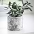 Withington Pot 11.5cm