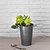 Classic Florist Bucket 29cm Charcoal
