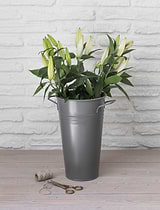 Classic Florist Bucket 30.5cm Charcoal