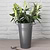Classic Florist Bucket 30.5cm Charcoal