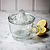 Classic Glass Juicer
