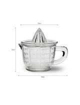 Classic Glass Juicer