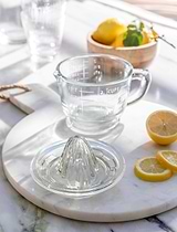 Classic Glass Juicer