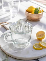 Classic Glass Juicer