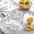 Classic Glass Juicer