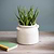 Ravello Pot with Handles 21cm White