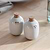 Ithaca Salt & Pepper Shakers White