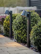 Regent Mast Path Light Carbon
