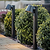 Regent Mast Path Light Carbon