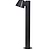 Regent Mast Path Light Carbon