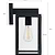 Belgrave Carriage Light Carbon