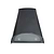 Regent Funnel Light Carbon