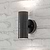 Regent Up & Down Light Carbon