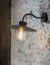 Classic Swan Neck Light Carbon