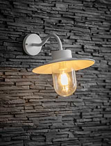 Garden trading swan neck light top