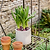 Ashbury Plant Stand Large