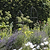 Barrington Obelisk Plant Supports Set of 2