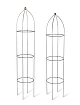 Barrington Obelisk Plant Supports Set of 2