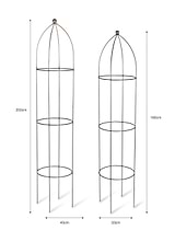 Barrington Obelisk Plant Supports Set of 2