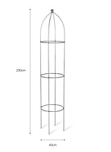 Barrington Obelisk Plant Support 200cm