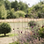 Barrington Obelisk Plant Support 200cm