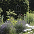 Barrington Obelisk Plant Support 200cm