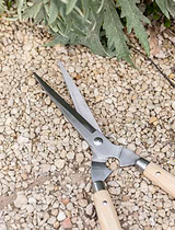 Hawkesbury Shears