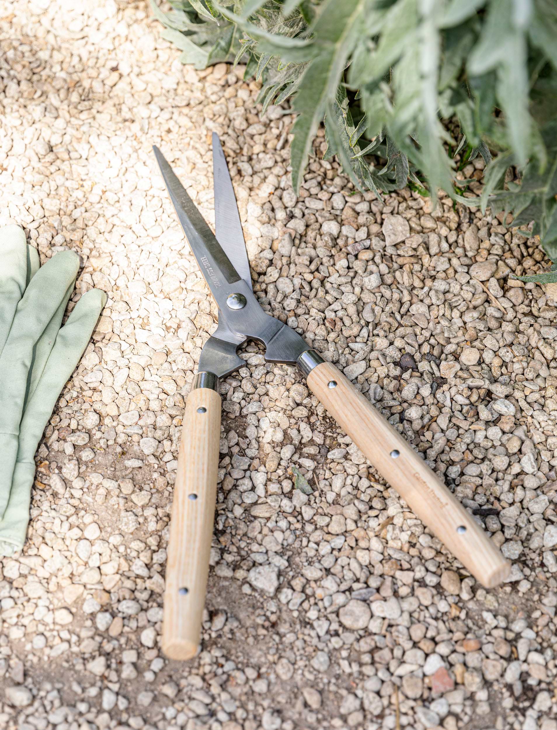 Garden Trading Shears