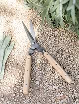 Hawkesbury Shears